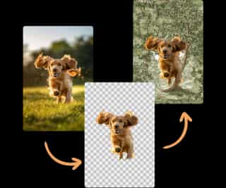 Your Image Background Remover Playground